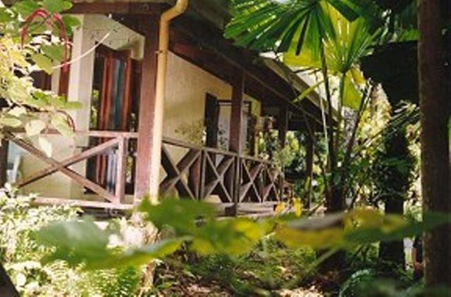 Daintree Deep Forest Lodge Кейп Трибулейшън Екстериор снимка