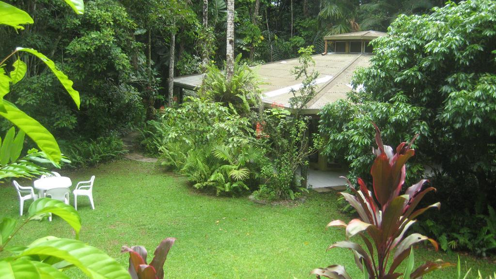 Daintree Deep Forest Lodge Кейп Трибулейшън Екстериор снимка