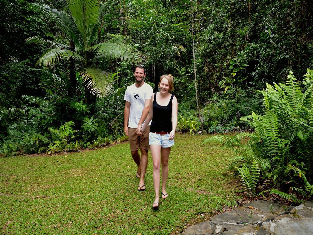 Daintree Deep Forest Lodge Кейп Трибулейшън Екстериор снимка