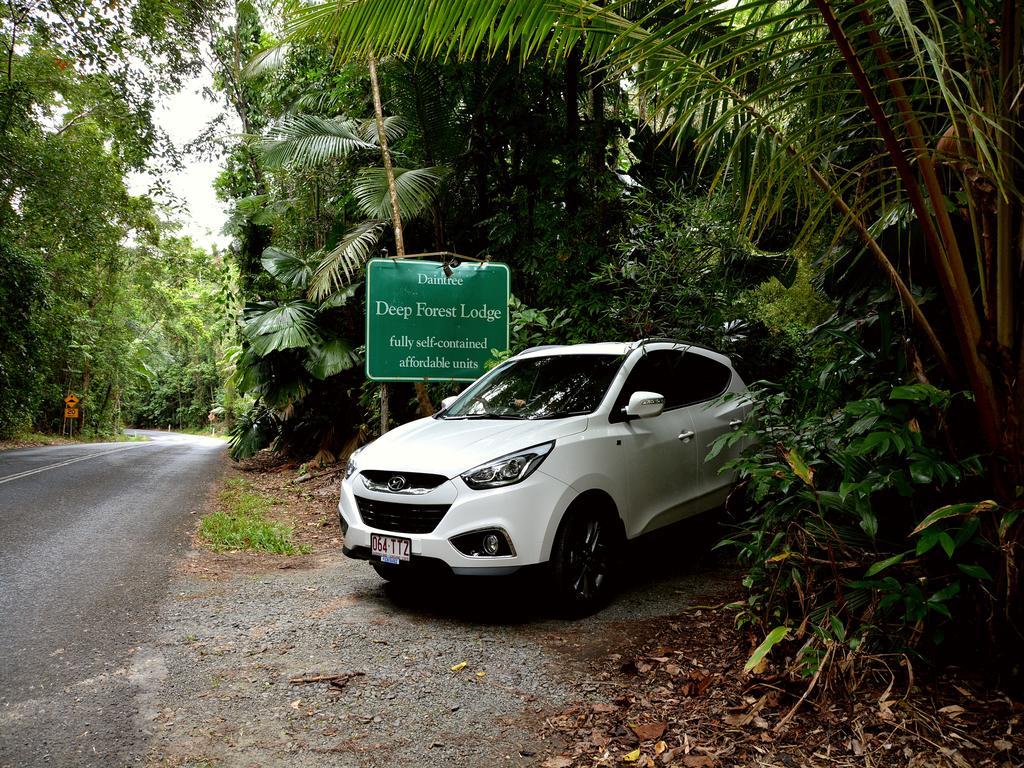 Daintree Deep Forest Lodge Кейп Трибулейшън Екстериор снимка