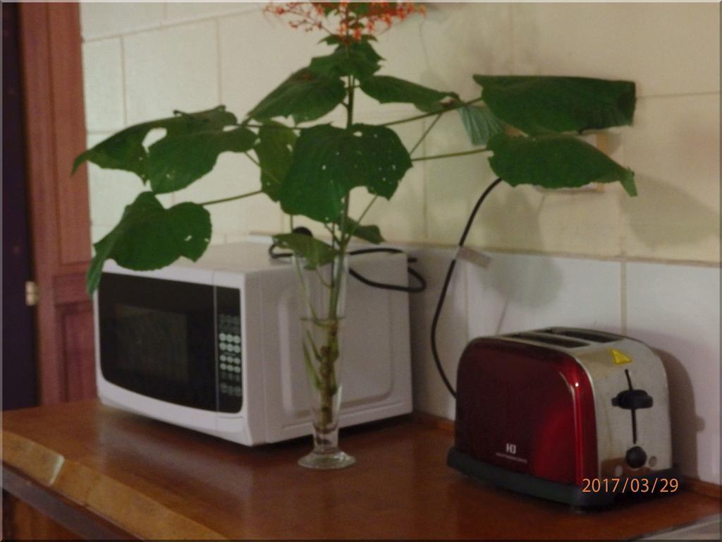 Daintree Deep Forest Lodge Кейп Трибулейшън Екстериор снимка